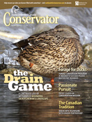 Conservator